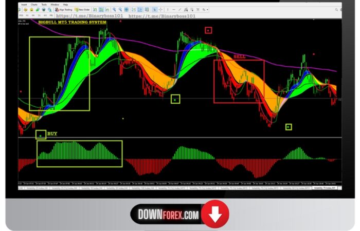 forex BIGBULL SYSTEM MT5