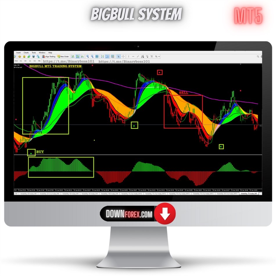 forex BIGBULL SYSTEM MT5