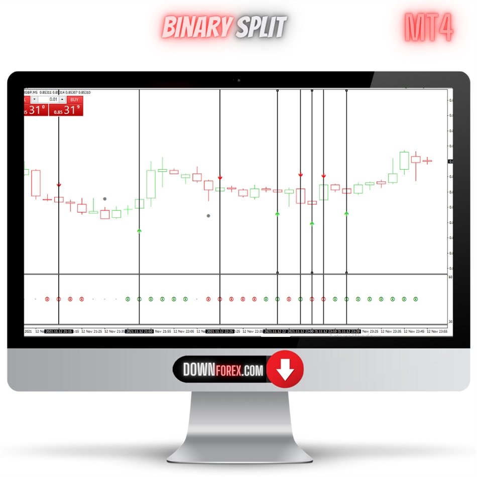 Binary SPLIT MT4