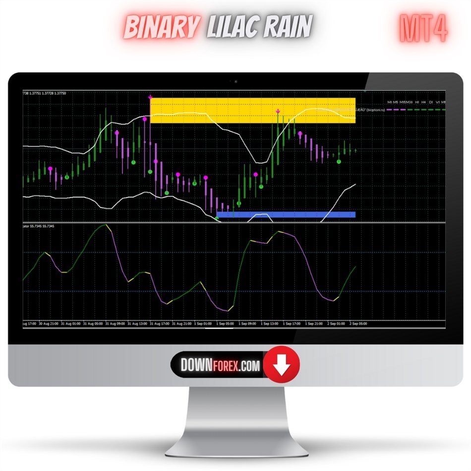 Binary Lilac Rain MT4
