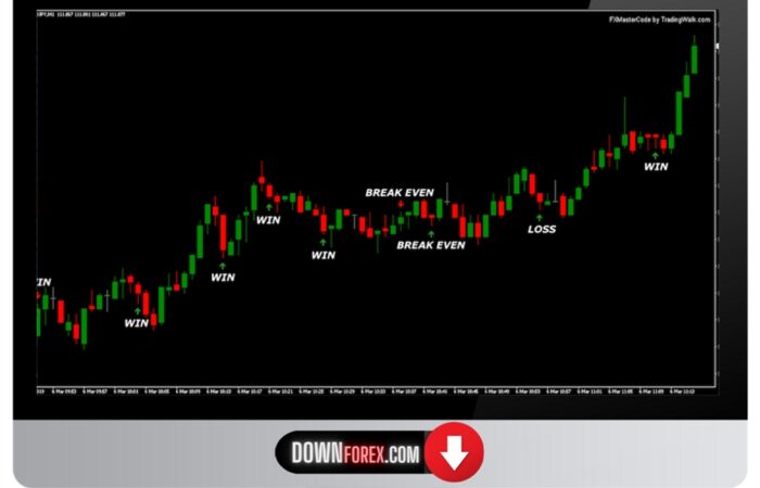 Binary FX Master Code MT4