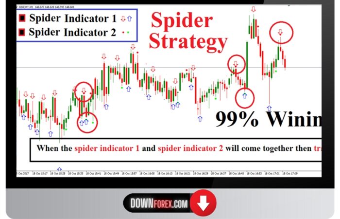 Binary SPIDER STRATEGY MT4