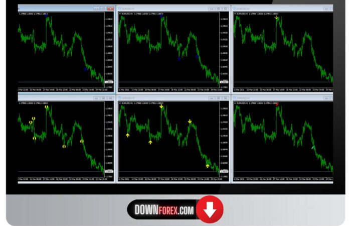 Binary Asia Premium Packege MT4