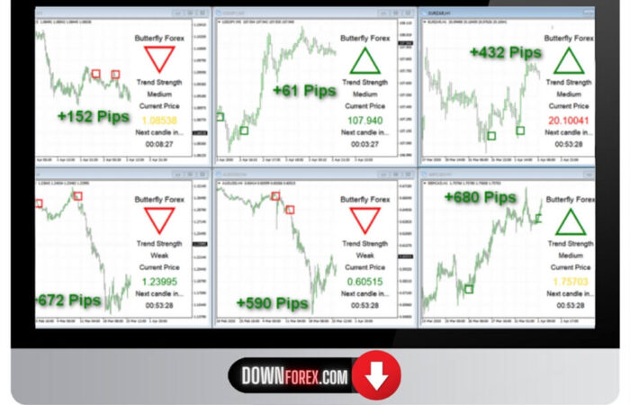 Forex Butterfly MT4