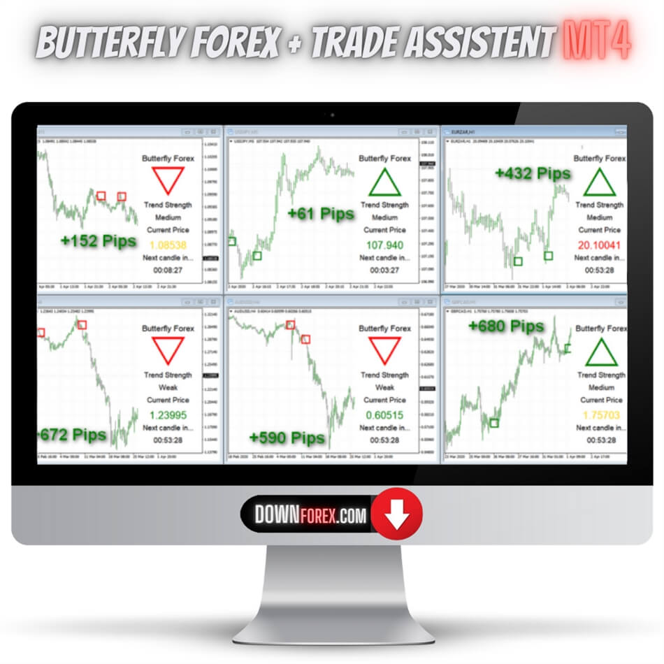 Forex Butterfly MT4