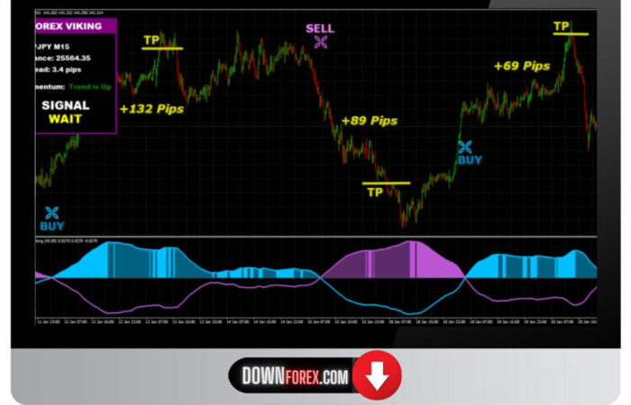 Forex Viking Pro MT4