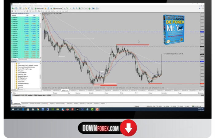 Forex system Mr.Y MT4